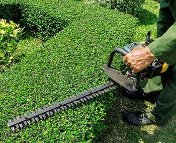 HEDGE CUTTING & PRUNING