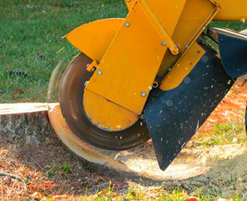 24/7 EMERGENCY TREE SERVICE